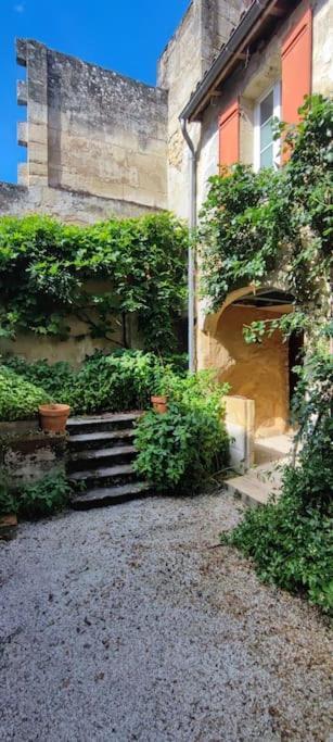 Appartement Avec Son Patio Dans Centre Historique De Bourg Ngoại thất bức ảnh